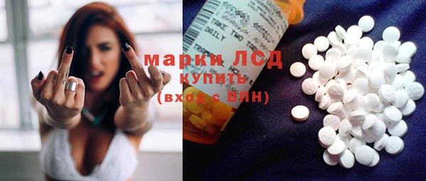 PSILOCYBIN Инта