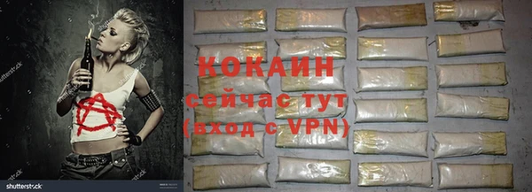 PSILOCYBIN Инта