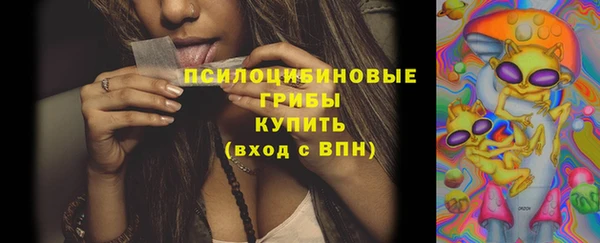 PSILOCYBIN Инта