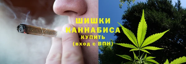 дживик Инсар