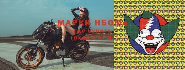 PSILOCYBIN Инта