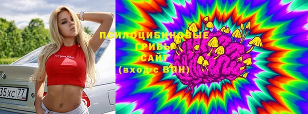 PSILOCYBIN Инта