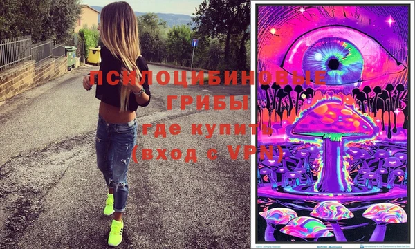 дживик Инсар