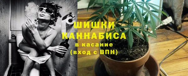 PSILOCYBIN Инта